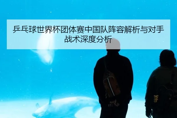 乒乓球世界杯团体赛中国队阵容解析与对手战术深度分析